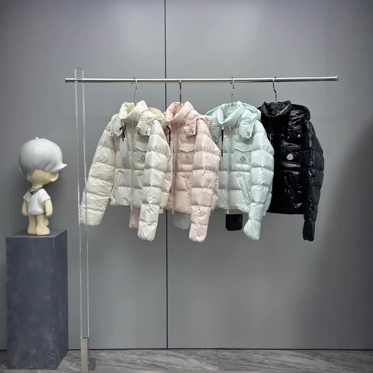 Moncler Andro down jacket